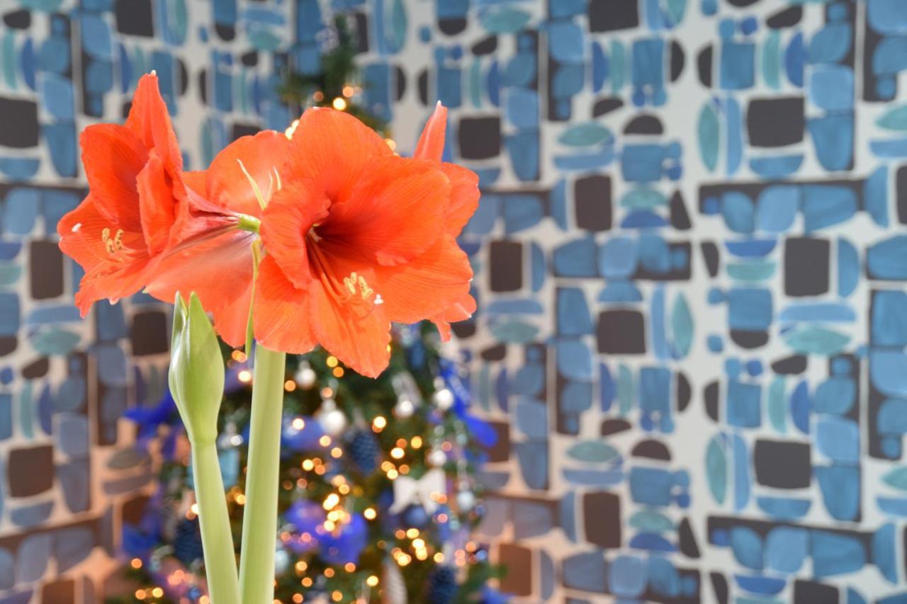 ホテル Casa Marino ソレント エクステリア 写真